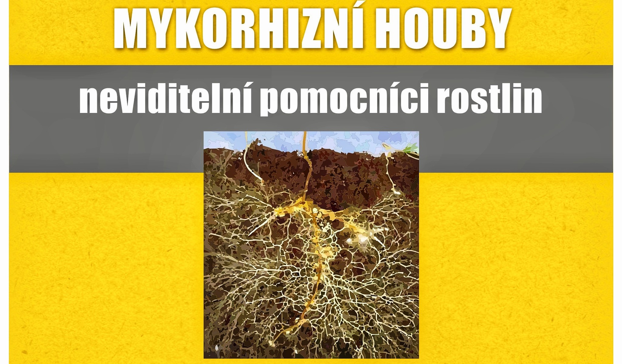 Mykorhizní houby - neviditelní pomocníci rostlin